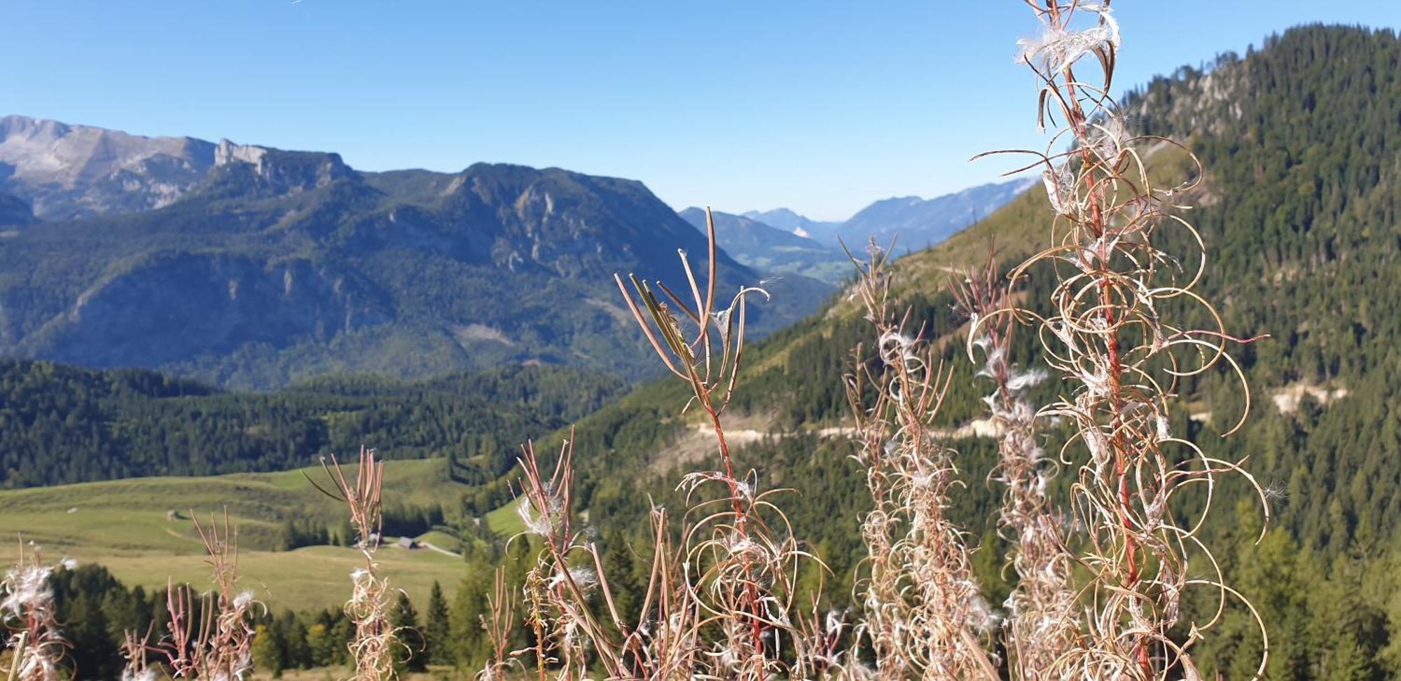 Ferienhaus Mountain View Spital Am Pyhrn Dış mekan fotoğraf
