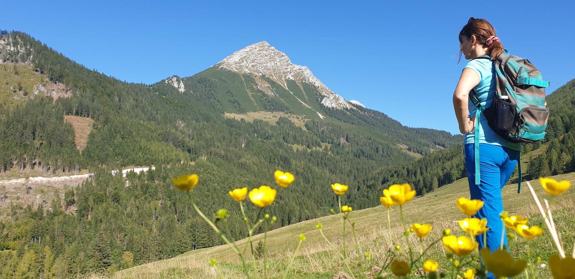Ferienhaus Mountain View Spital Am Pyhrn Dış mekan fotoğraf