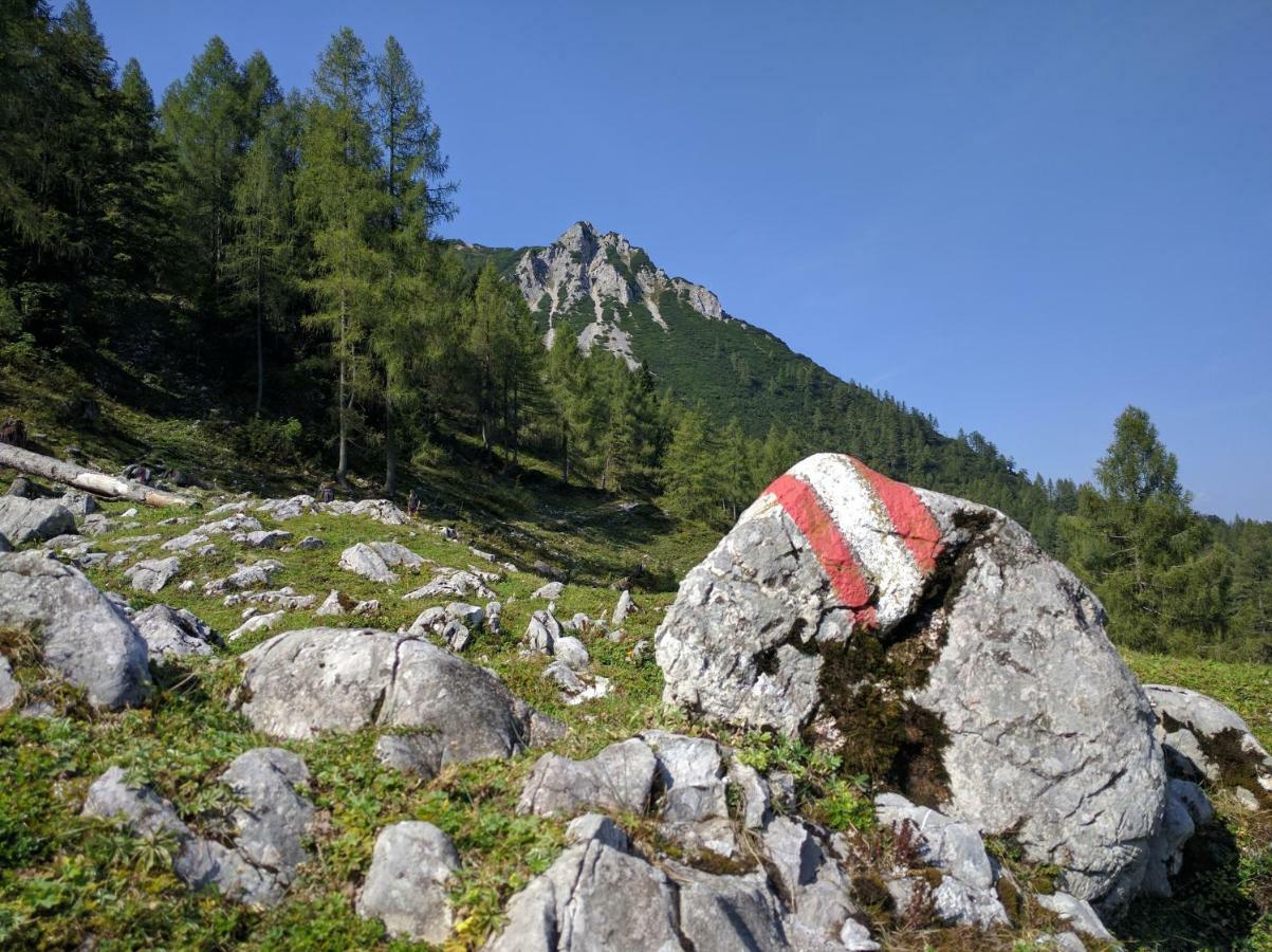 Ferienhaus Mountain View Spital Am Pyhrn Dış mekan fotoğraf