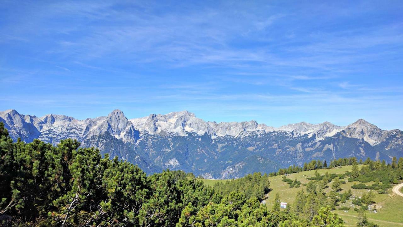 Ferienhaus Mountain View Spital Am Pyhrn Dış mekan fotoğraf