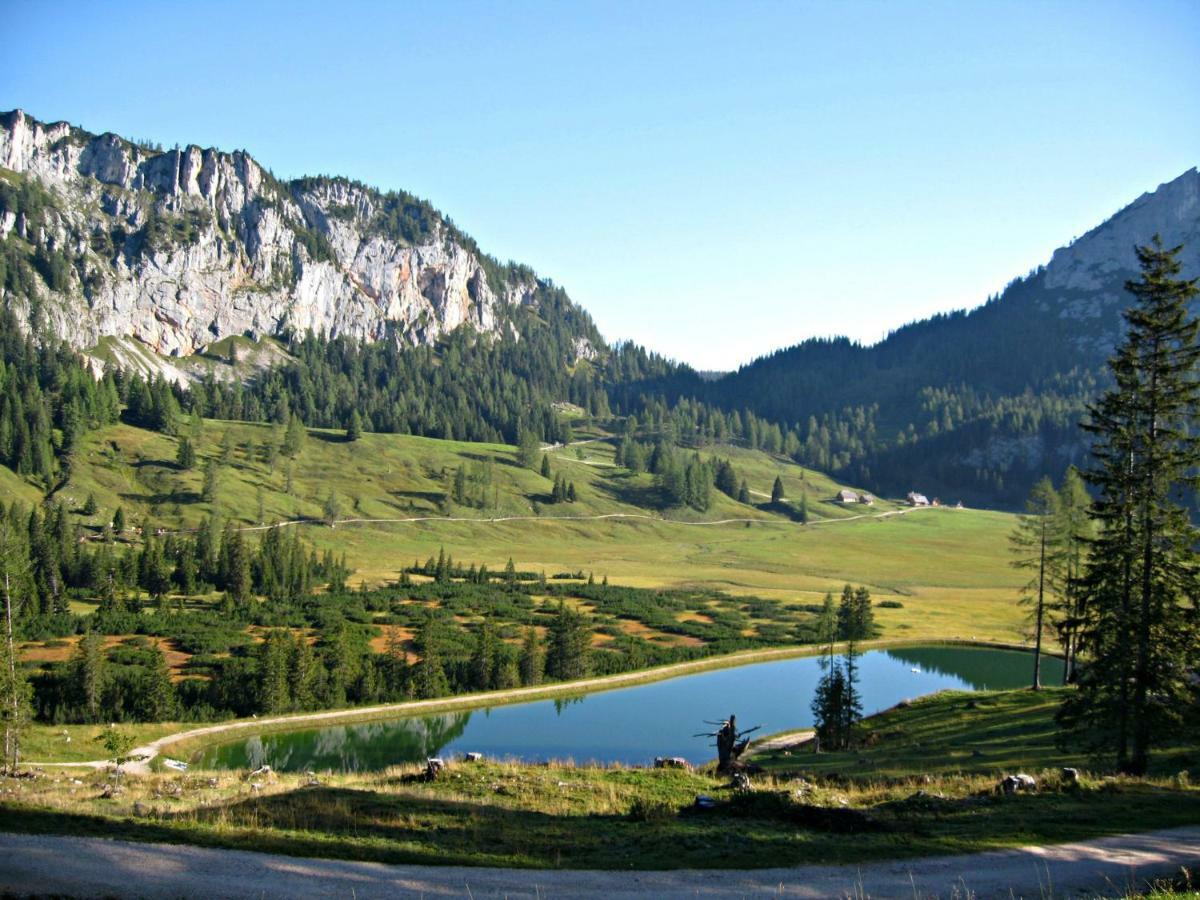 Ferienhaus Mountain View Spital Am Pyhrn Dış mekan fotoğraf