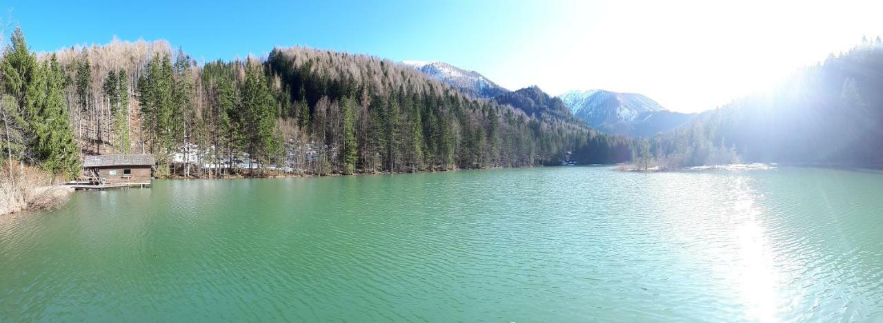 Ferienhaus Mountain View Spital Am Pyhrn Dış mekan fotoğraf